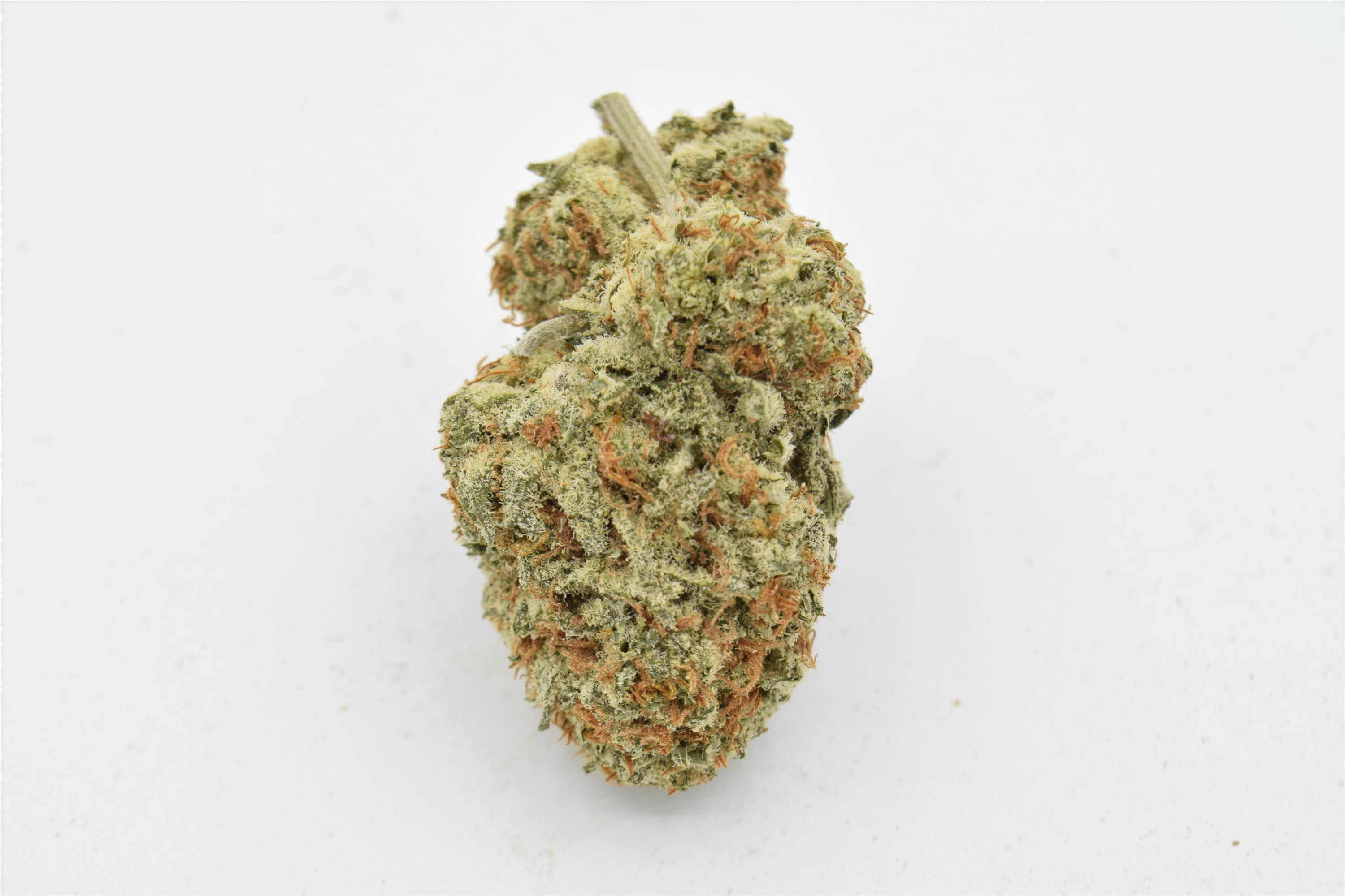 Tropic Thunder (Sativa) - SALE 1 OZ $55